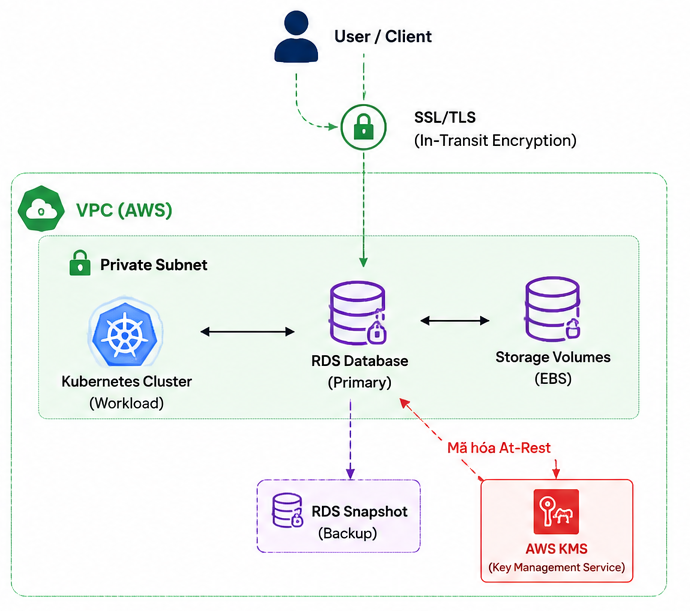 Database Encryption Security